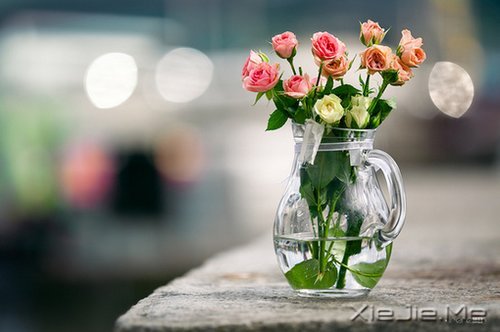 祝我们再遇见,都能比现在过得更好