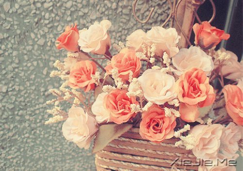 文字:爱的鱼眼睛