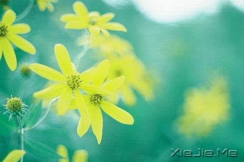 写人仅两笔,做人需一生 (9)