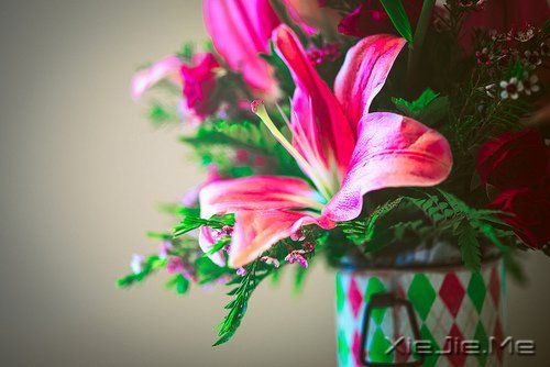 ���֣����˵�ĸ��