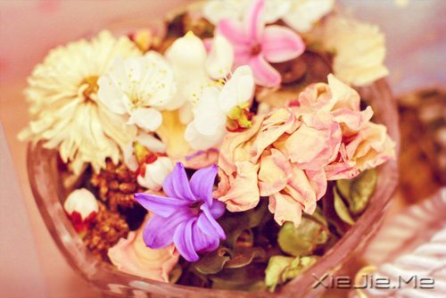 经典语录:只要适合自己,就是幸福 (8)