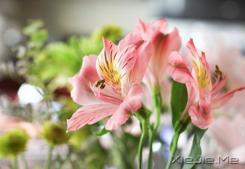 经典语录:输什么也不能输了心情 (4)