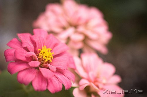 ���֣�������С��