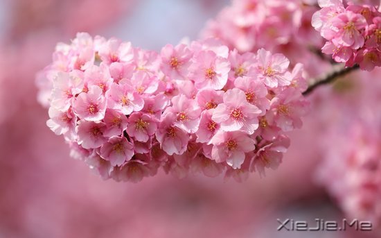 ���֣�Ҫ������ʮ���� (3)