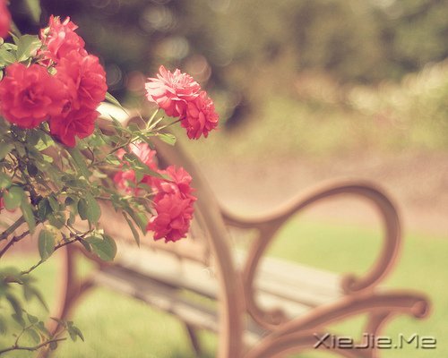 �����Ų�����ԭ���籾������Ŀ